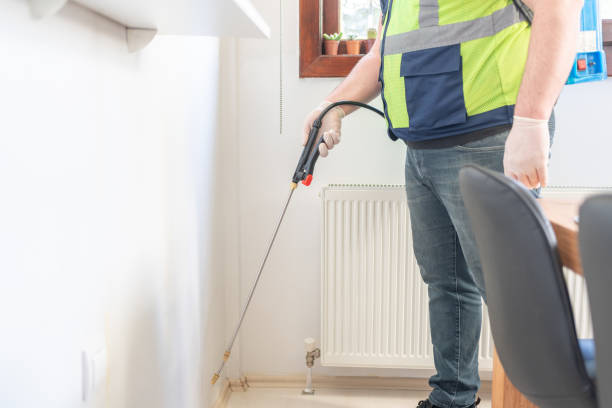 Reliable La Salle, CO Pest Control Solutions