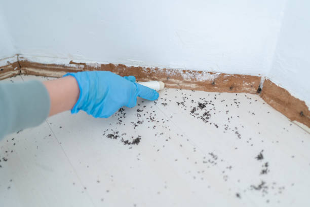 Best Best Pest Control Companies  in La Salle, CO